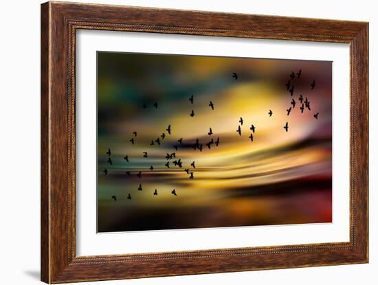 The Birds-Ursula Abresch-Framed Photographic Print