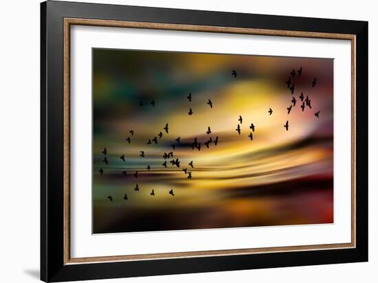 The Birds-Ursula Abresch-Framed Photographic Print