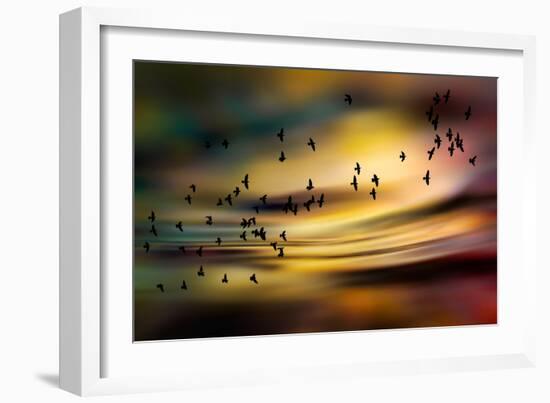 The Birds-Ursula Abresch-Framed Photographic Print