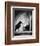 The Birds-null-Framed Photo