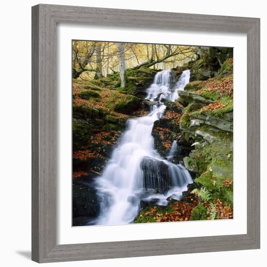 The Birks of Aberfeldy in Tayside, Scotland-Roy Rainford-Framed Photographic Print