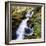 The Birks of Aberfeldy in Tayside, Scotland-Roy Rainford-Framed Photographic Print