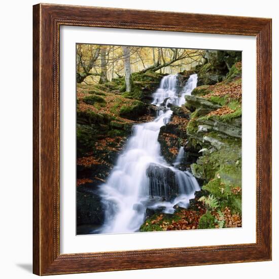 The Birks of Aberfeldy in Tayside, Scotland-Roy Rainford-Framed Photographic Print