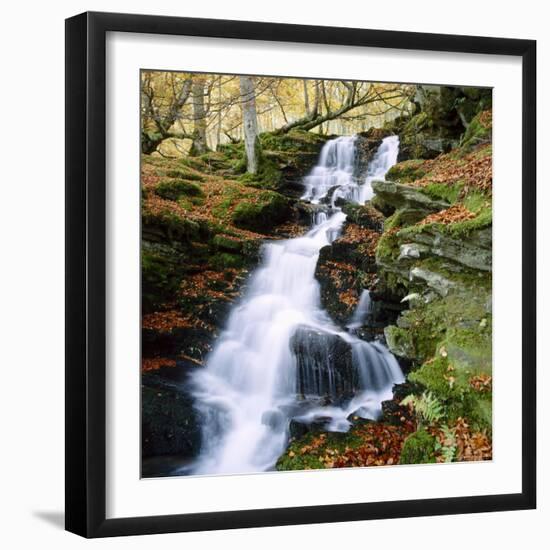 The Birks of Aberfeldy in Tayside, Scotland-Roy Rainford-Framed Photographic Print