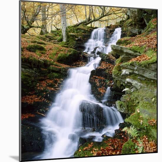 The Birks of Aberfeldy in Tayside, Scotland-Roy Rainford-Mounted Photographic Print