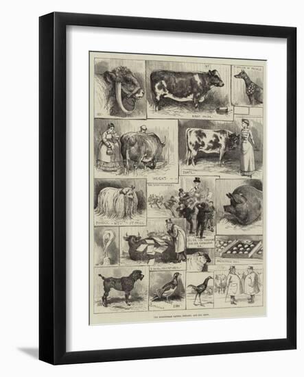 The Birmingham Cattle, Poultry and Dog Show-Alfred Courbould-Framed Giclee Print