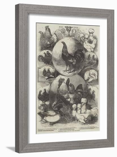 The Birmingham Christmas Poultry Show, Prizes-Harrison William Weir-Framed Giclee Print