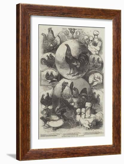 The Birmingham Christmas Poultry Show, Prizes-Harrison William Weir-Framed Giclee Print