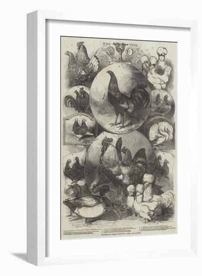 The Birmingham Christmas Poultry Show, Prizes-Harrison William Weir-Framed Giclee Print