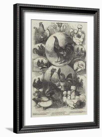 The Birmingham Christmas Poultry Show, Prizes-Harrison William Weir-Framed Giclee Print