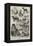 The Birmingham Dog Show, Prize Dogs-Harrison William Weir-Framed Premier Image Canvas