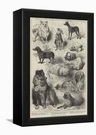 The Birmingham Dog Show, Prize Dogs-Harrison William Weir-Framed Premier Image Canvas