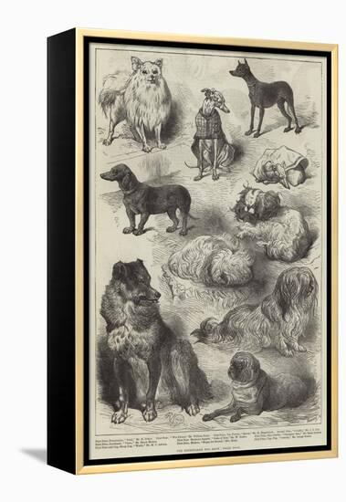 The Birmingham Dog Show, Prize Dogs-Harrison William Weir-Framed Premier Image Canvas