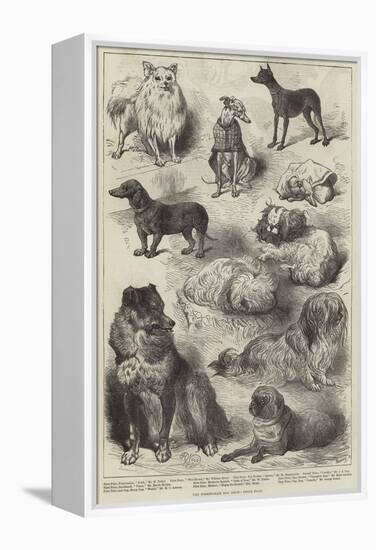 The Birmingham Dog Show, Prize Dogs-Harrison William Weir-Framed Premier Image Canvas