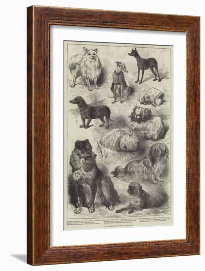 The Birmingham Dog Show, Prize Dogs-Harrison William Weir-Framed Giclee Print