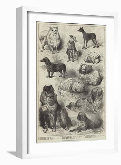 The Birmingham Dog Show, Prize Dogs-Harrison William Weir-Framed Giclee Print