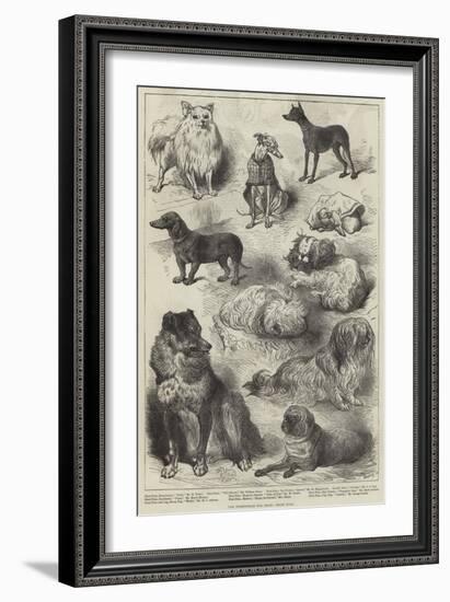 The Birmingham Dog Show, Prize Dogs-Harrison William Weir-Framed Giclee Print