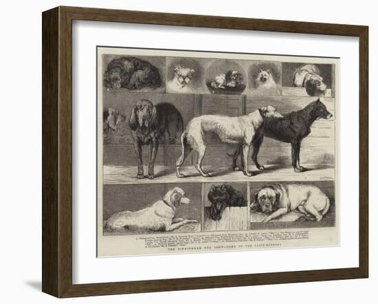 The Birmingham Dog Show, Some of the Prize-Winners-Samuel Edmund Waller-Framed Giclee Print