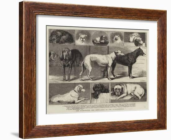 The Birmingham Dog Show, Some of the Prize-Winners-Samuel Edmund Waller-Framed Giclee Print