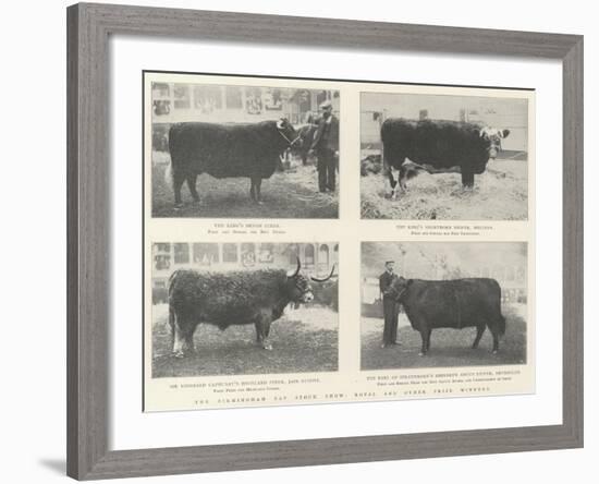 The Birmingham Fat Stock Show, Royal and Other Prize Winners-null-Framed Giclee Print