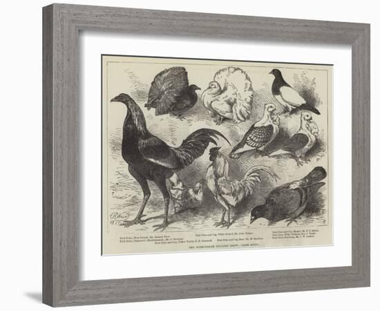 The Birmingham Poultry Show, Prize Birds-Harrison William Weir-Framed Giclee Print