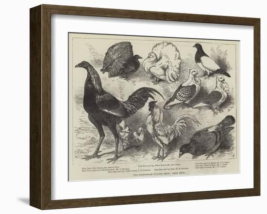 The Birmingham Poultry Show, Prize Birds-Harrison William Weir-Framed Giclee Print