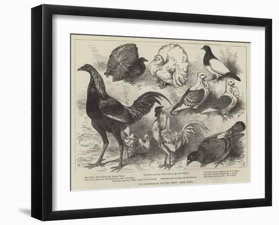 The Birmingham Poultry Show, Prize Birds-Harrison William Weir-Framed Giclee Print