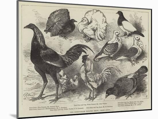 The Birmingham Poultry Show, Prize Birds-Harrison William Weir-Mounted Giclee Print