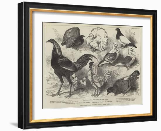 The Birmingham Poultry Show, Prize Birds-Harrison William Weir-Framed Giclee Print