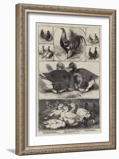 The Birmingham Poultry Show-Harrison William Weir-Framed Giclee Print