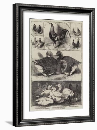 The Birmingham Poultry Show-Harrison William Weir-Framed Giclee Print