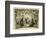 The Birth of Christ-English School-Framed Giclee Print