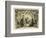 The Birth of Christ-English School-Framed Giclee Print