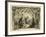 The Birth of Christ-English School-Framed Giclee Print