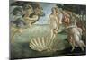 The Birth of Venus, Ca. 1485-Sandro Botticelli-Mounted Giclee Print