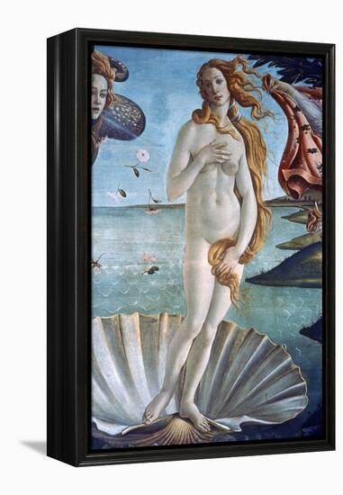 The Birth of Venus (Detail), C1485-Sandro Botticelli-Framed Premier Image Canvas