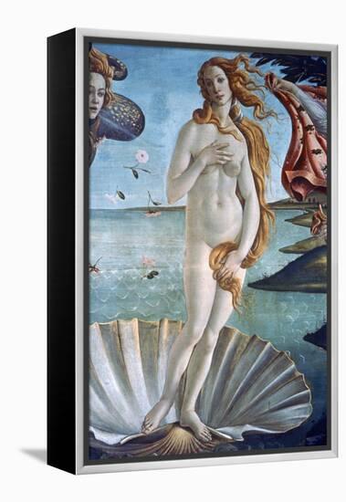 The Birth of Venus (Detail), C1485-Sandro Botticelli-Framed Premier Image Canvas