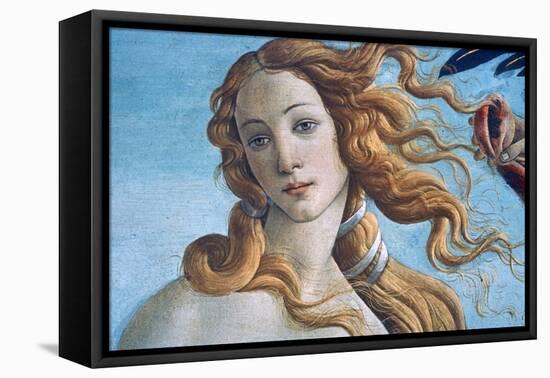 The Birth of Venus (Detail), C1485-Sandro Botticelli-Framed Premier Image Canvas