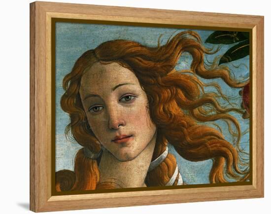 The Birth of Venus (Head of Venus), 1486-Sandro Botticelli-Framed Premier Image Canvas