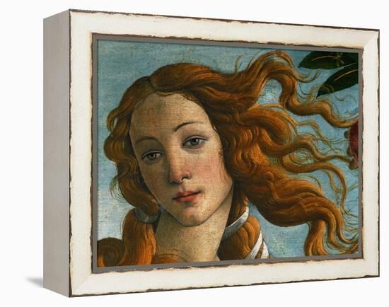 The Birth of Venus (Head of Venus), 1486-Sandro Botticelli-Framed Premier Image Canvas