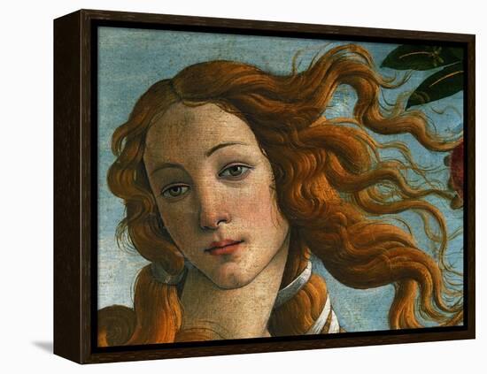 The Birth of Venus (Head of Venus), 1486-Sandro Botticelli-Framed Premier Image Canvas