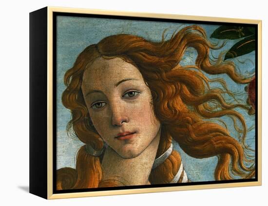 The Birth of Venus (Head of Venus), 1486-Sandro Botticelli-Framed Premier Image Canvas