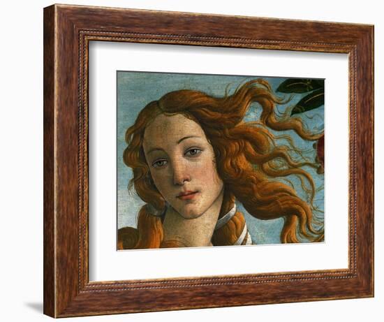 The Birth of Venus (Head of Venus), 1486-Sandro Botticelli-Framed Giclee Print