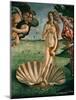 The Birth of Venus (Venus Anadyomene), Detail-Sandro Botticelli-Mounted Giclee Print