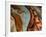 The Birth of Venus (Venus Anadyomene)-Sandro Botticelli-Framed Giclee Print