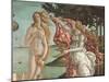 The Birth of Venus-Sandro Botticelli-Mounted Giclee Print