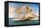 The Birth Of Venus-Alexandre Cabanel-Framed Premier Image Canvas