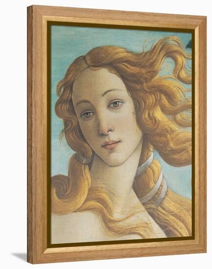 The Birth of Venus-Sandro Botticelli-Framed Premier Image Canvas