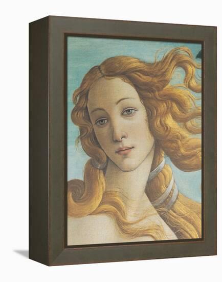 The Birth of Venus-Sandro Botticelli-Framed Premier Image Canvas