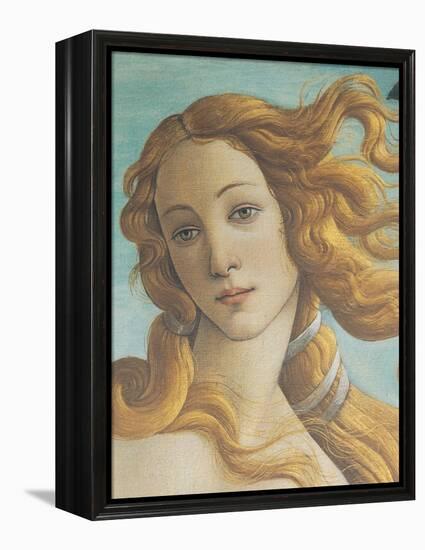 The Birth of Venus-Sandro Botticelli-Framed Premier Image Canvas